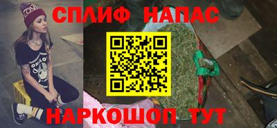 прущие грибы Тула