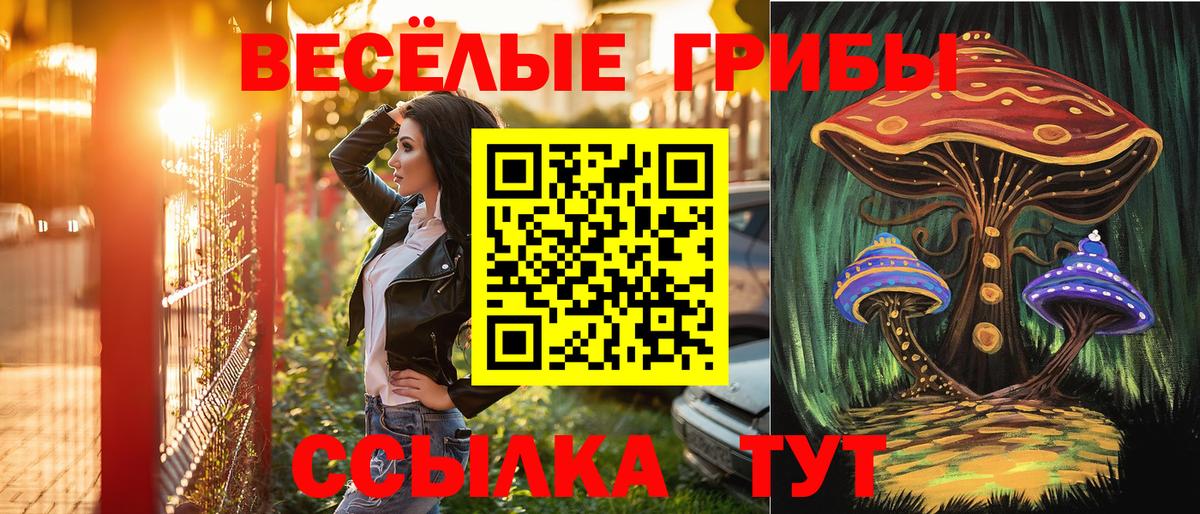 Галлюциногенные грибы Magic Shrooms Саранск