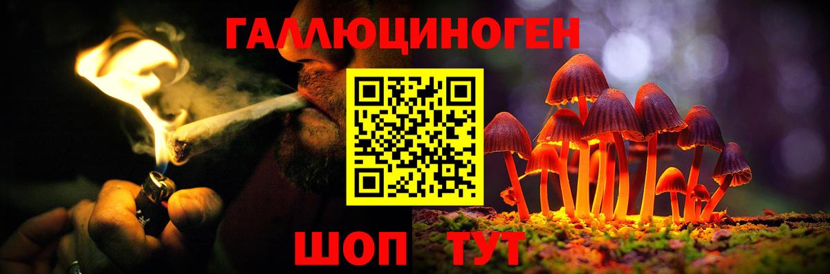 Галлюциногенные грибы Magic Shrooms  Вход с VPN  Саранск  Галлюциногенные грибы GOLDEN TEACHER 